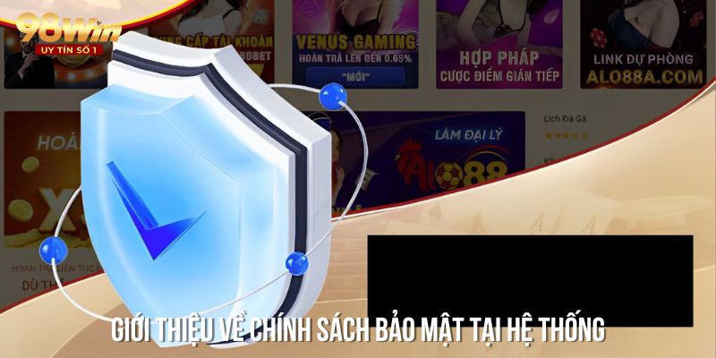 Giới thiệu đôi nét chính sách bảo mật tại hệ thống nhà cái 98Win